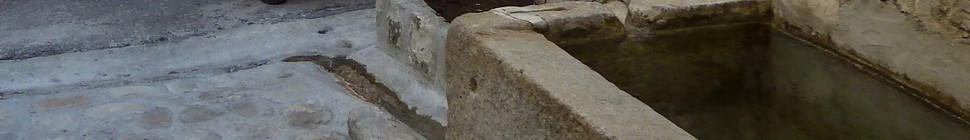 thorame_large10.jpg