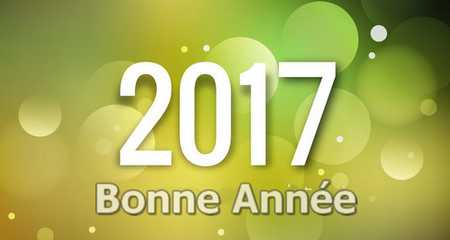 voeux_2017.jpg